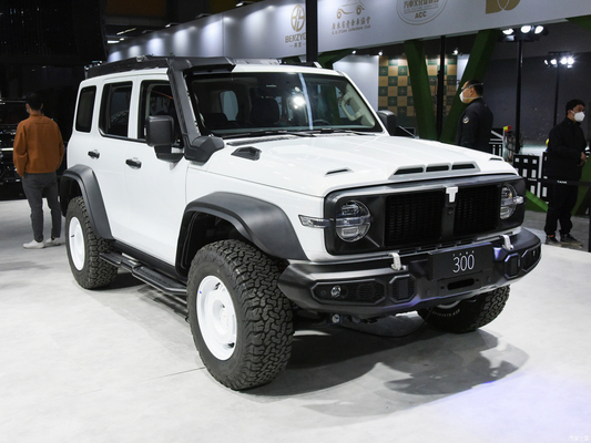 2023 GWM 오프로드 탱크 300 SUV 자동차 2.0T 가솔린 연료 4WD LED 헤드라이트가 장착