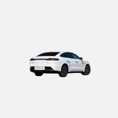 하이 스피드 2022 BYD 전기 SUV 리?? 배터리 4 개의 문 5 좌석 및 더 많은 선적 준비