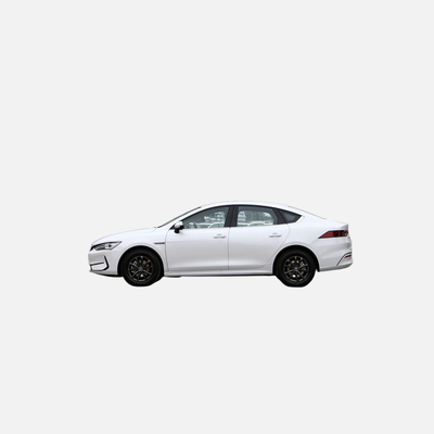 2022 Byd 전기 자동차 완전 옵션 블랙 리?? 배터리