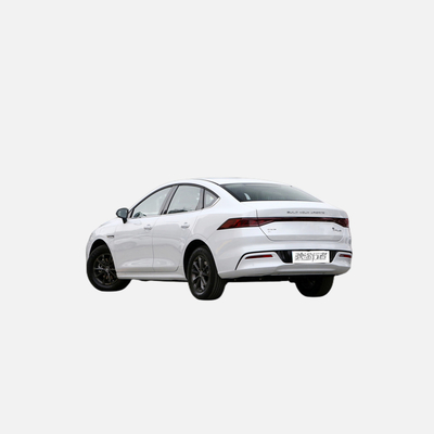 2022 Byd 전기 자동차 완전 옵션 블랙 리?? 배터리