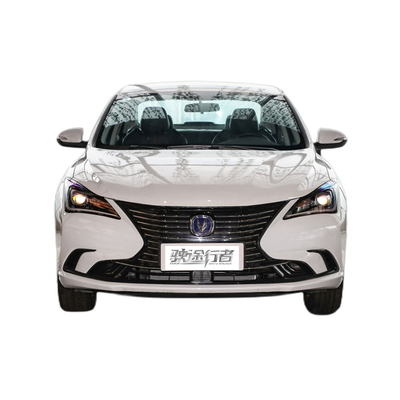 2022 장탄 Ev460의 최고의 성인 Ev 자동차 리?? 배터리와 최고 속도 145 KM / h