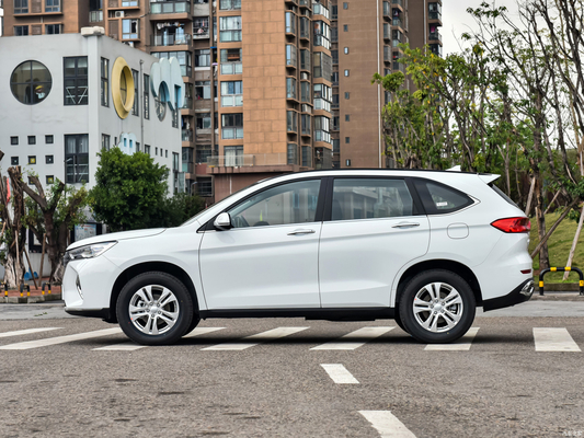 HAVAL M6 1.5T SUV 전면 창 전기 1개 키 리프팅 2023 시장에 대한 안티 핑크