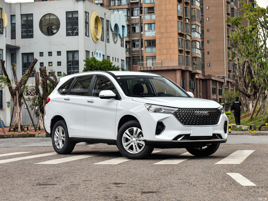 HAVAL M6 1.5T SUV 전면 창 전기 1개 키 리프팅 2023 시장에 대한 안티 핑크
