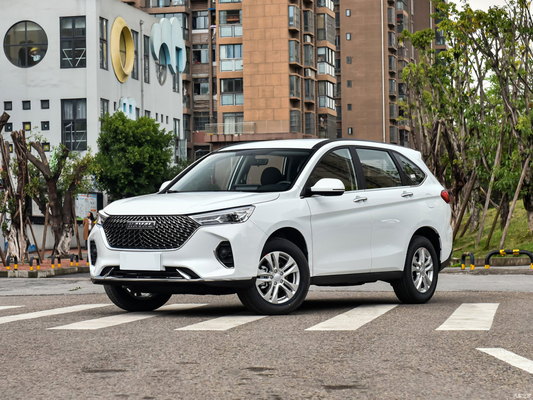 HAVAL M6 1.5T SUV 전면 창 전기 1개 키 리프팅 2023 시장에 대한 안티 핑크