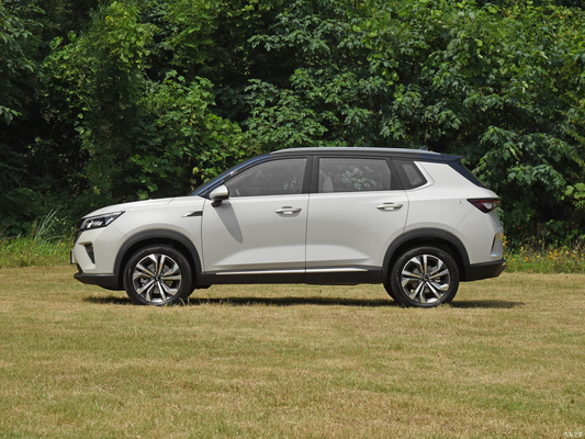수동 주차 브레이크 2021 웅링 스타 1.5T CVT 싱야오 에디션 4도어 5석 SUV