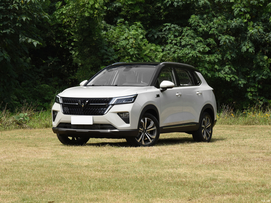 수동 주차 브레이크 2021 웅링 스타 1.5T CVT 싱야오 에디션 4도어 5석 SUV