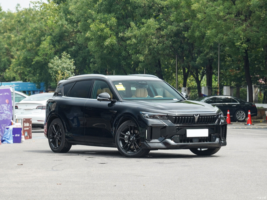 2024 보야 무료 4WD 확장 범위 하이브리드 최후의 선택으로 승차 업그레이드