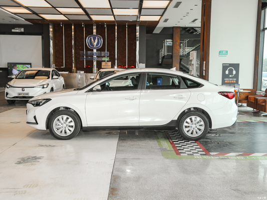 145KM/h 최고 속도 차간 Eado EV460 리?? 철화강 배터리 전기 차량