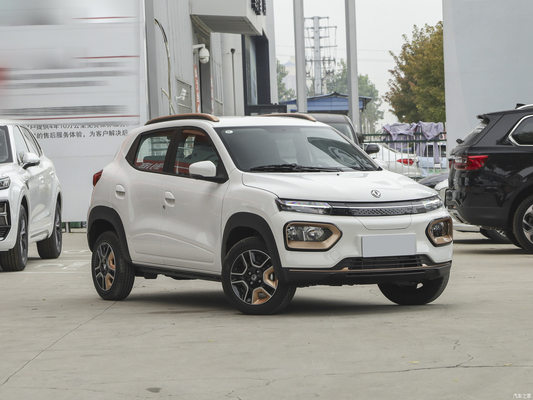 Nammi BoxEV 라이트 윈드 버전 표준 모델 배터리 수명 201KM 중국 가족 자동차 SUV