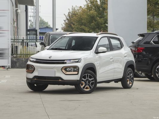 Nammi BoxEV 라이트 윈드 버전 표준 모델 배터리 수명 201KM 중국 가족 자동차 SUV