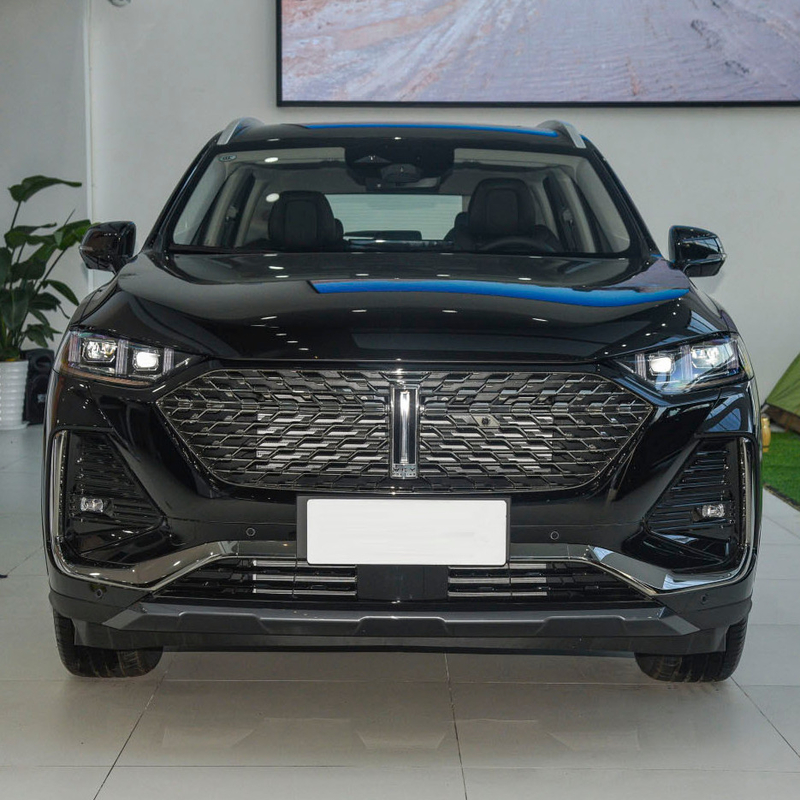GWM WEY 커피 02 DHT-PHEV 가스 하이브리드 전기 SUV 5도어 5석 차 스타일리시한 외관
