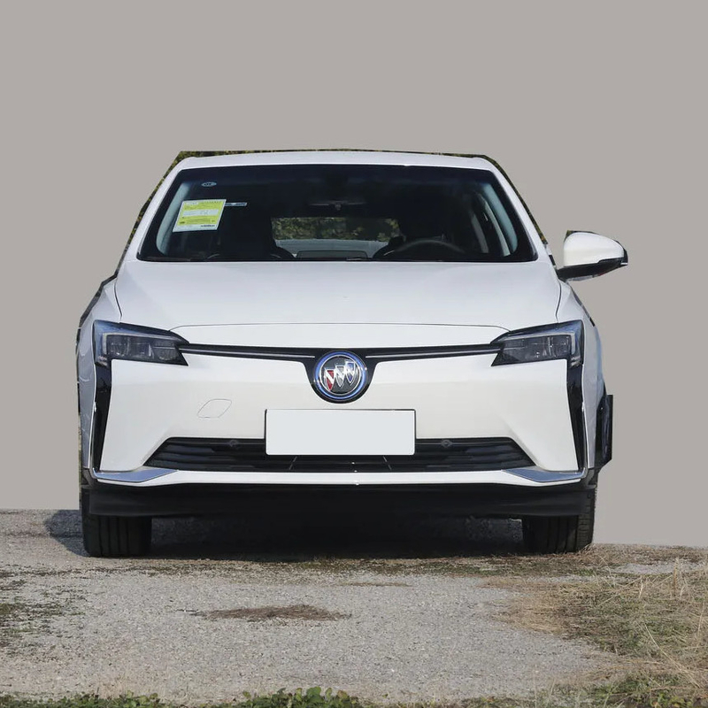 뷰이크 전기차 시리즈 VELITE 6 SUV 430km 범위 왼쪽 운전 최고 속도 170 KM/h
