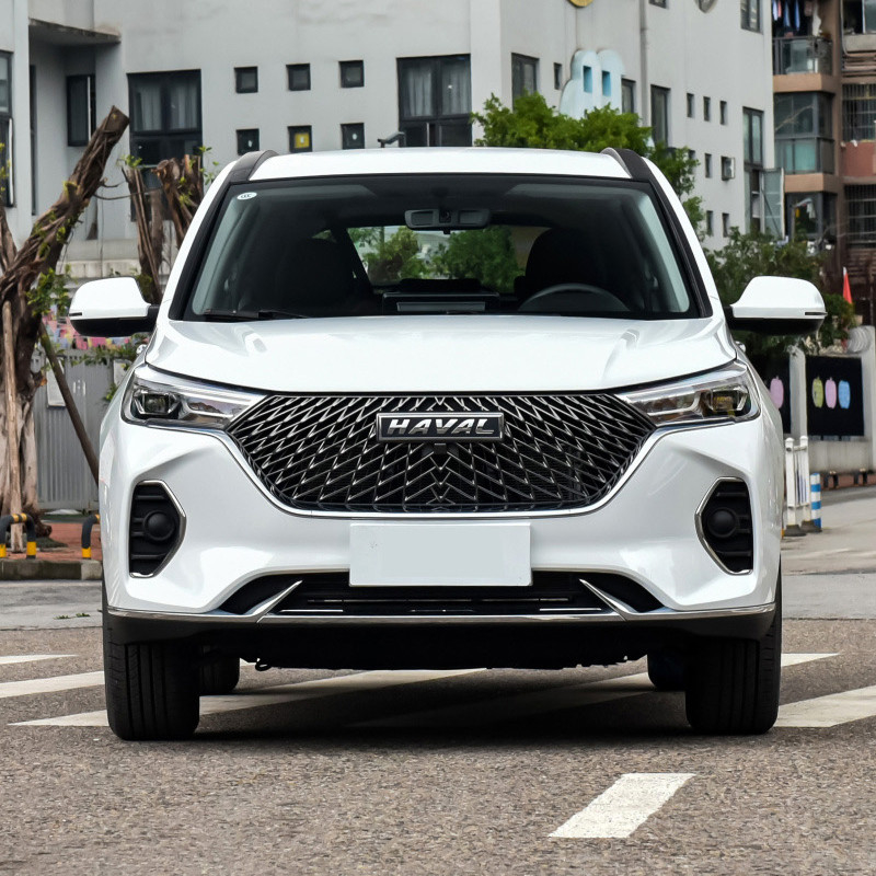 HAVAL M6 1.5T SUV 전면 창 전기 1개 키 리프팅 2023 시장에 대한 안티 핑크