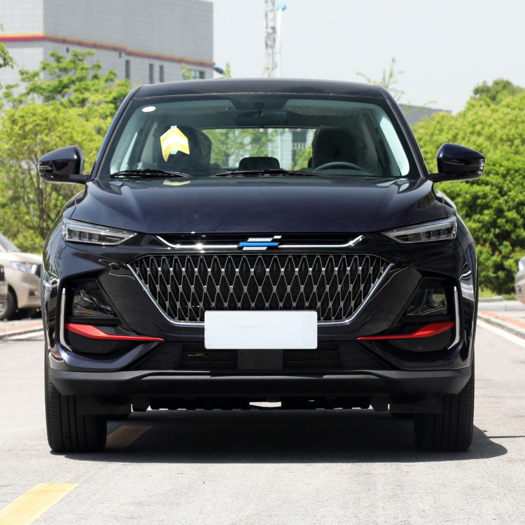 5도어 5석 SUV 2023 창원 오션 X7 플러스 가스 자동차 4730*1870*1720mm 차원