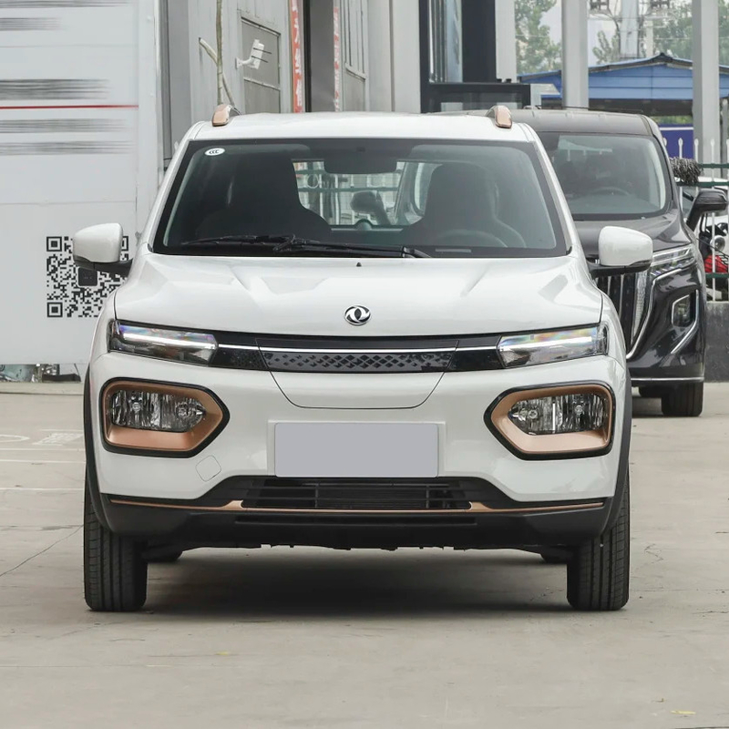 Nammi BoxEV 라이트 윈드 버전 표준 모델 배터리 수명 201KM 중국 가족 자동차 SUV